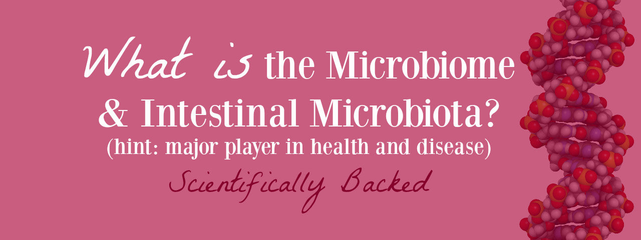 What is the Microbiome & Intestinal Microbiota?