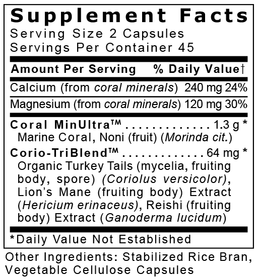 Coral Legend Plus, Premier