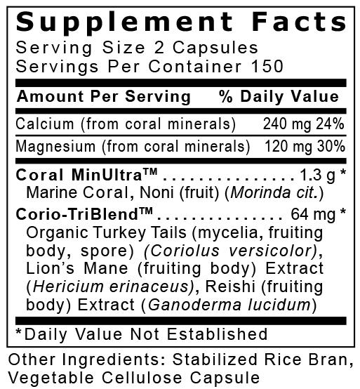 Coral Legend Plus, Premier