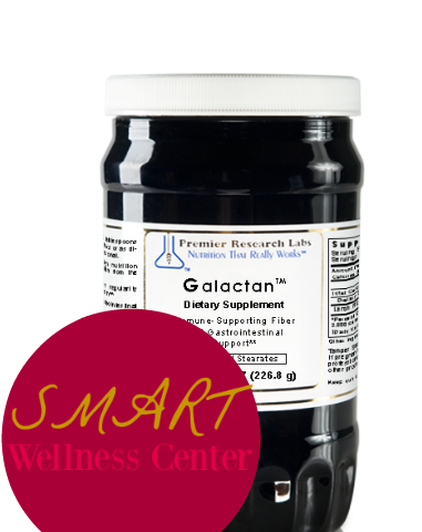 Exquisite Gut Microbiota Kit & My Bonus Protocol: Greens, Probiotic Caps, Galactan, Digest, HCL, Premier